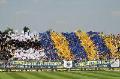 Mercato Carrarese, preso Pestrin